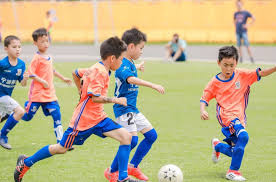 2026国际足联世界杯 乒乓球台实惠推荐